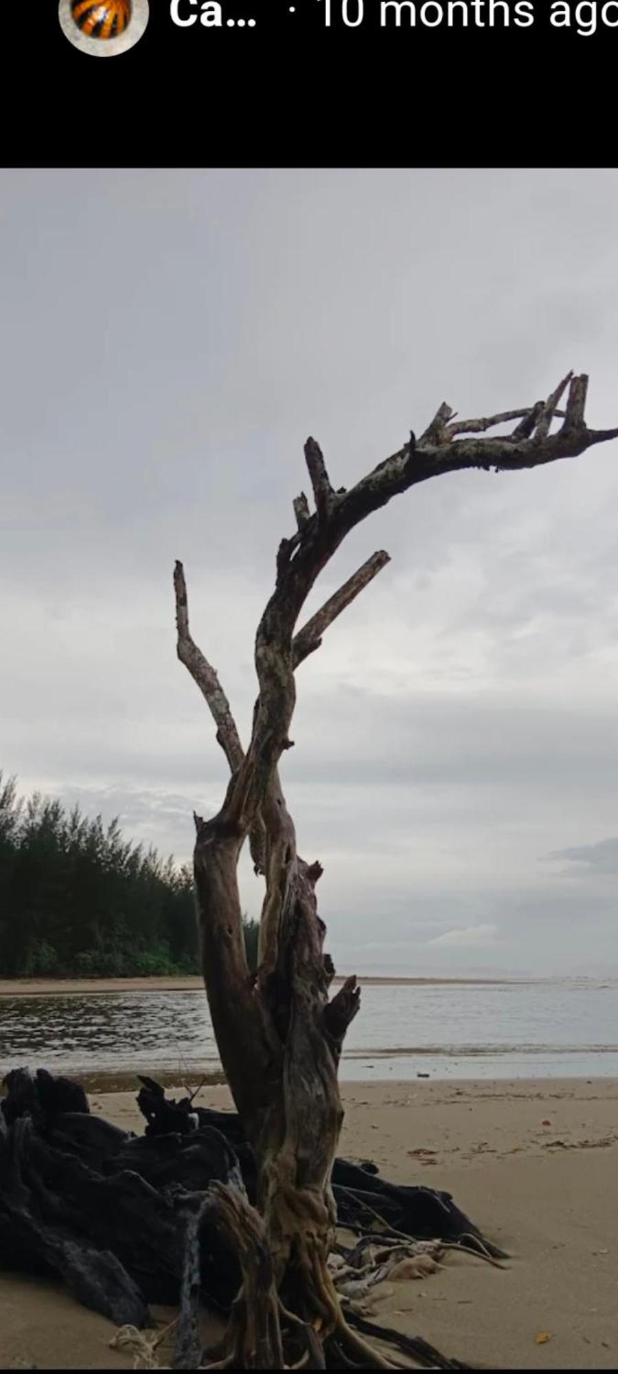 The Mangrove Vila Sematan Exterior foto