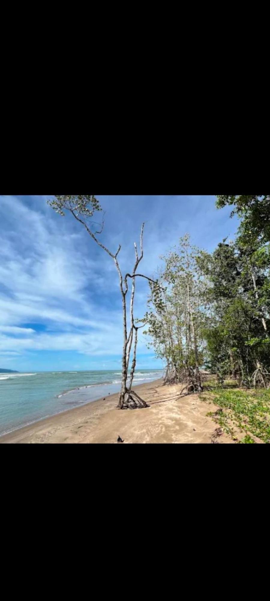 The Mangrove Vila Sematan Exterior foto